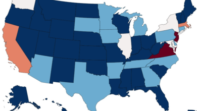 Map Shows States With Most H-1B Visas Approved Per American Worker