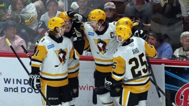 McGroarty’s OT winner gives Penguins 2-1 series lead | TheAHL.com