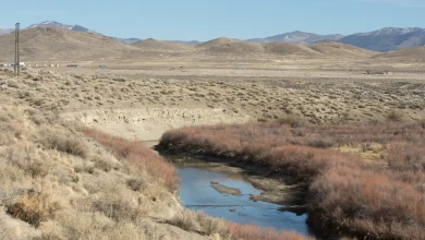 Meet the 13 Republicans running in Nevada's 2nd Congressional District