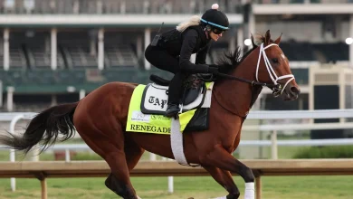 Meet the Kentucky Derby horses running in the 2026 race