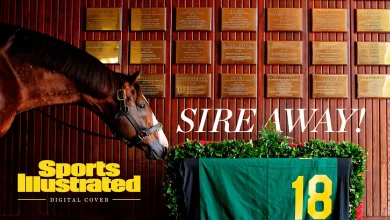 Meet the Promiscuous Stud Building a Kentucky Derby Legacy