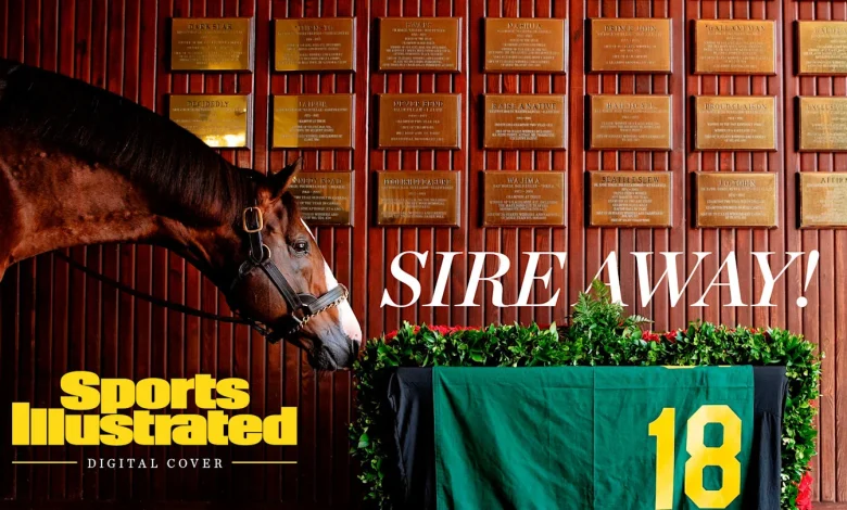 Meet the Promiscuous Stud Building a Kentucky Derby Legacy