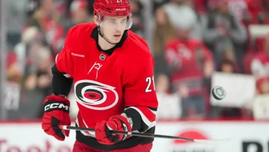 Metro Notes: Nikishin, Malkin, DeBoer