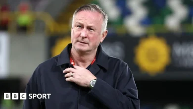 Michael O'Neill: Northern Ireland boss will have 'turned heads' with short Blackburn Rovers spell