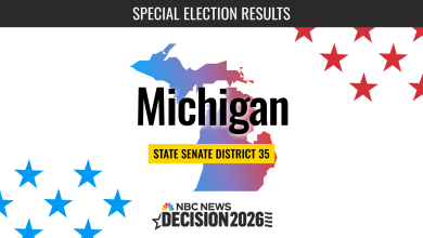 Michigan State Senate Special 2026 Live Results