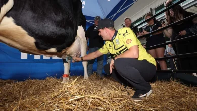 Mick Schumacher swapped F1 for the Indy 500. But first, he milked a cow