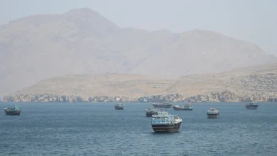 Middle East war live: Sporadic clashes erupt between ‌Iranian and US forces ‌in Hormuz strait