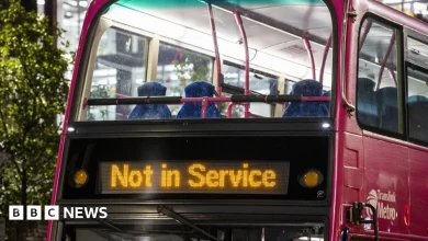 Minister defends Translink fares freeze despite possibility of cuts to services