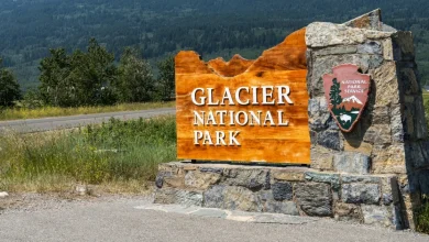 Missing hiker found dead of suspected bear attack in Glacier National Park