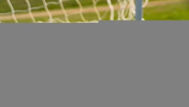 Montréal vs Chicago Fire: MLS stats & head-to-head