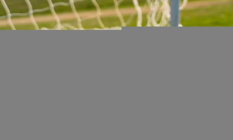 Montréal vs Chicago Fire: MLS stats & head-to-head
