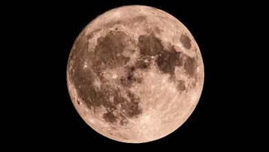 Moon phase today: What the Moon will look like on April 30