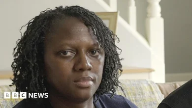 Mother of Nottingham triple killer told police 'there is a risk to others', public inquiry hears