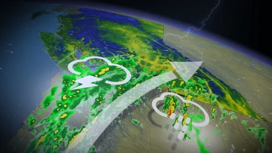 Much-needed rain coming to B.C. as pattern change on the horizon