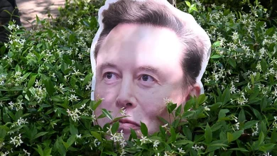 Musk’s “World War III” threat in Twitter lawsuit haunts him at OpenAI trial
