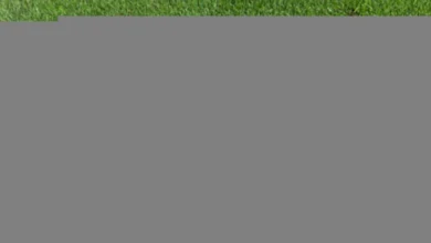NFLPA head: Players strongly want 'high quality' grass fields