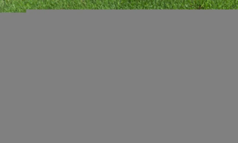 NFLPA head: Players strongly want 'high quality' grass fields