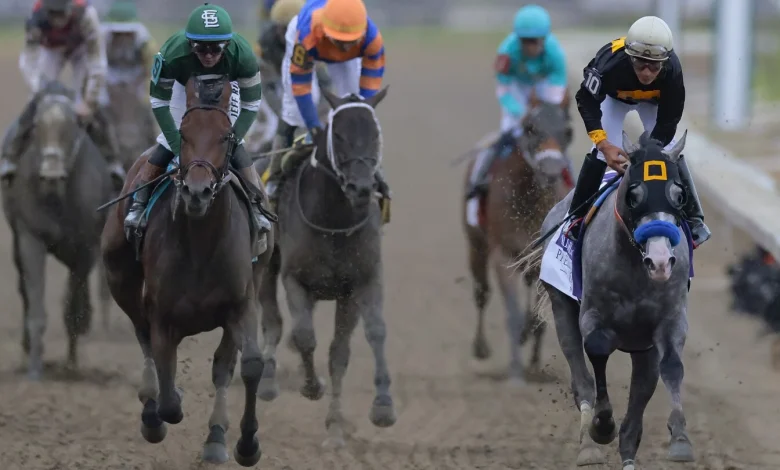 Napoleon Solo wins the 151st Preakness Stakes at Laurel Park