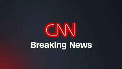 Napoleon Solo wins the Preakness Stakes in a come-from-behind victory