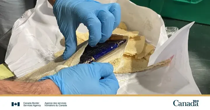 Nearly 250 kg of suspected cocaine hidden in flatbread stopped at Halifax border: CBSA