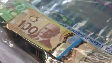 New Financial Crimes Agency needed to combat growing threat of fraud, scams: experts - National