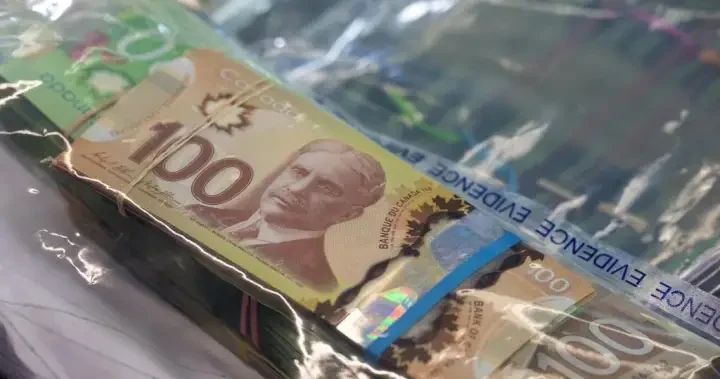 New Financial Crimes Agency needed to combat growing threat of fraud, scams: experts - National