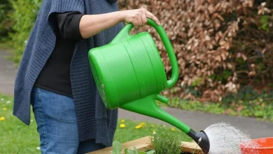 New community food garden opens in east Oxford