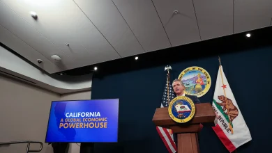 Newsom's final budget: Cuts now, save for AI bust