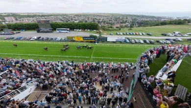 Next two Brighton meetings cancelled as curse of leatherjackets continues to plague seaside course
