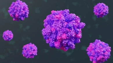 Norovirus outbreak reported on Fort Lauderdale-based Princess cruise ship