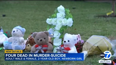 North Hills murder-suicide: Woman believed to have killed husband, 2 children