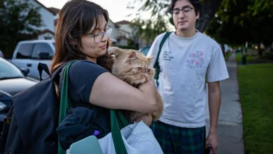 O.C. communities hit by chemical crisis are safe for return, officials say
