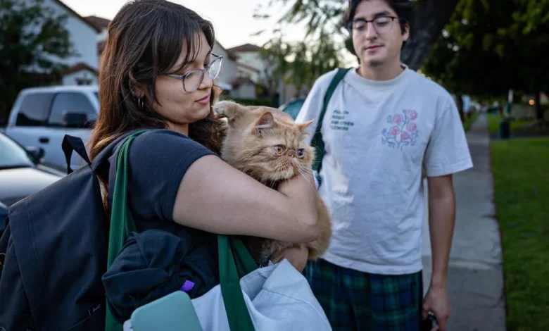 O.C. communities hit by chemical crisis are safe for return, officials say