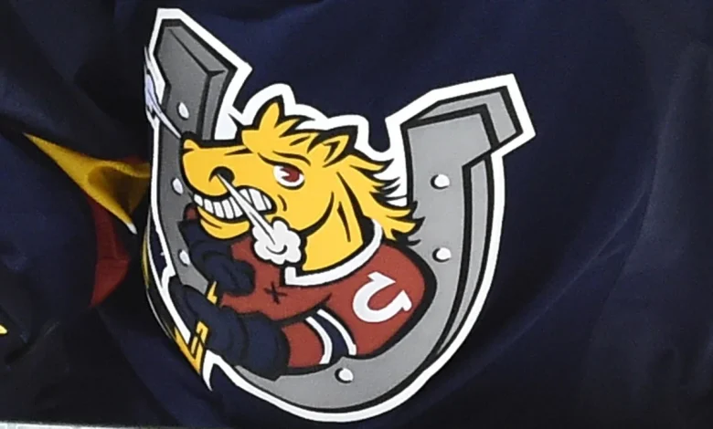 OHL fines Barrie Colts $15,000 over bizarre post-game press conference