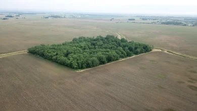 Ohio Supreme Court says state must revisit massive solar farm on Gates land