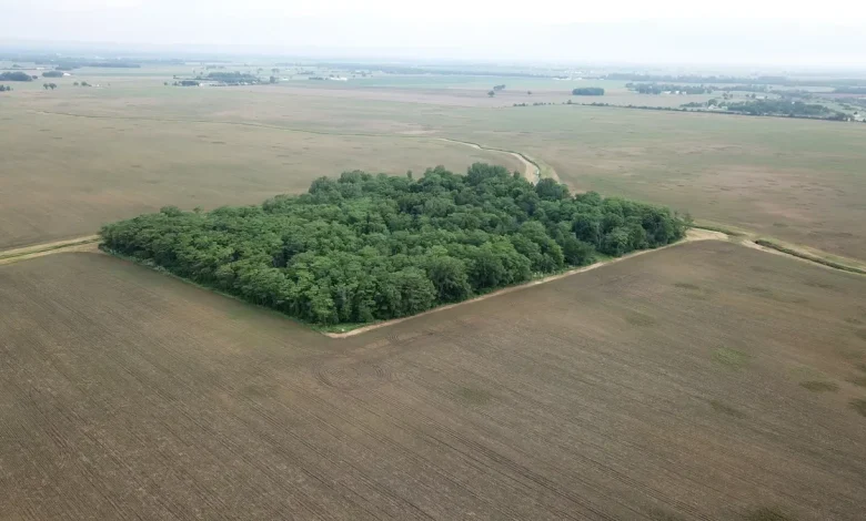 Ohio Supreme Court says state must revisit massive solar farm on Gates land