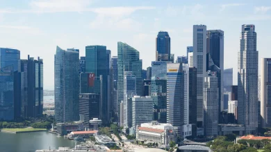 Only 15% of workers in Singapore feel their jobs are safe amid AI-driven anxieties: survey