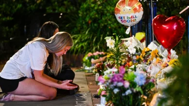 OpenAI sued over ChatGPT’s alleged role in guiding FSU shooter