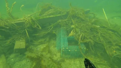 Ottawa Launches $15M Ghost Gear Initiative