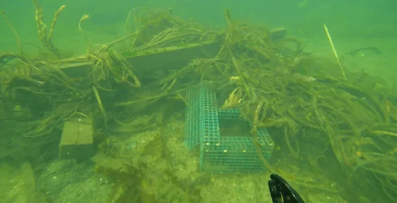 Ottawa Launches $15M Ghost Gear Initiative