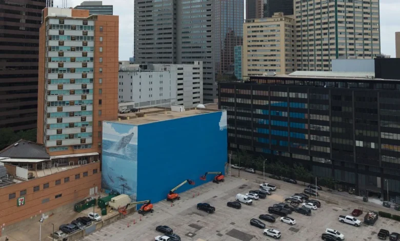 Outcry as World Cup art replaces beloved Dallas whale mural
