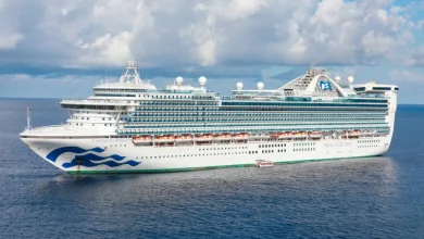 Over 100 People Sick in Outbreak on Princess Cruises Ship in the Caribbean