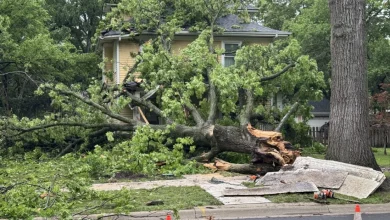 Overnight storms bring rain, wind and some damage in Douglas County
