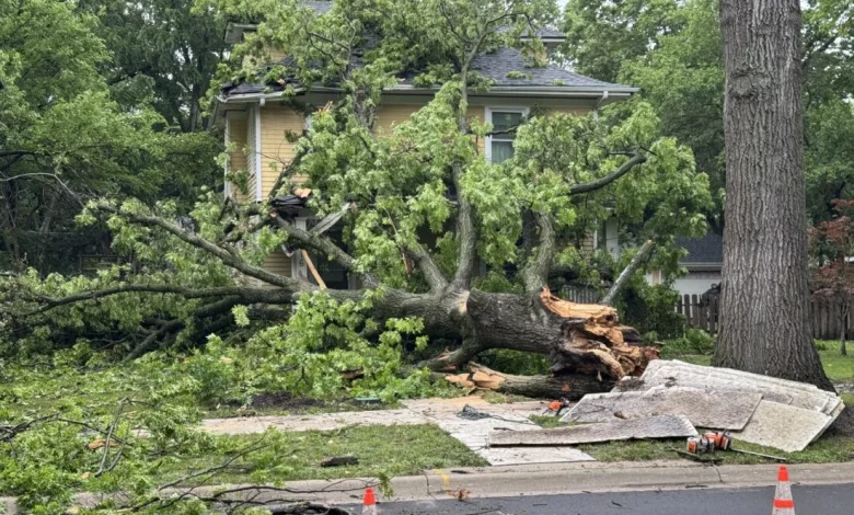 Overnight storms bring rain, wind and some damage in Douglas County