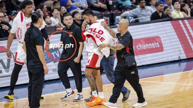 PBA suspends ref after Game 2 of Rain or Shine vs Ginebra semis
