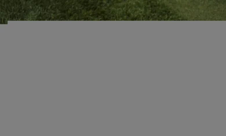 PGA Championship Cut Rule Explained: Who Makes the Weekend at Aronimink