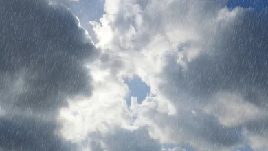 Patchy rain turning light: Drizzle tomorrow