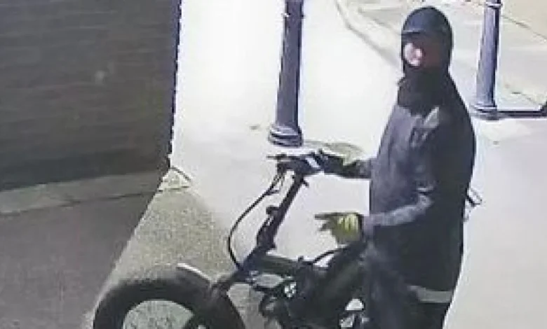 Police hunting for suspect after south Essex business burgled