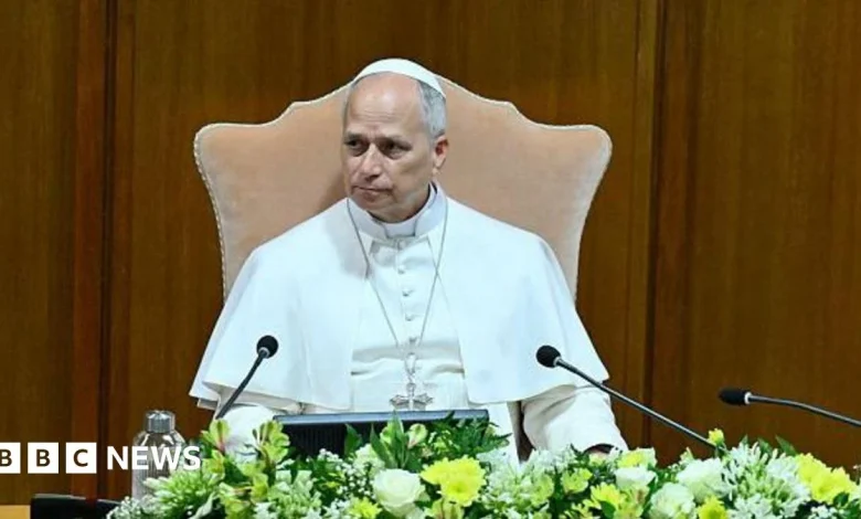 Pope Leo says AI must be 'disarmed' in first major teaching