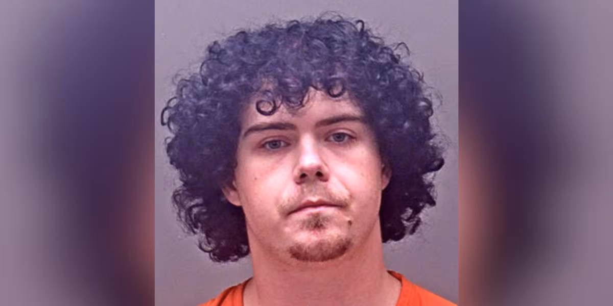 Postal worker pleads guilty after hundreds of pieces of undelivered mail found in his apartment